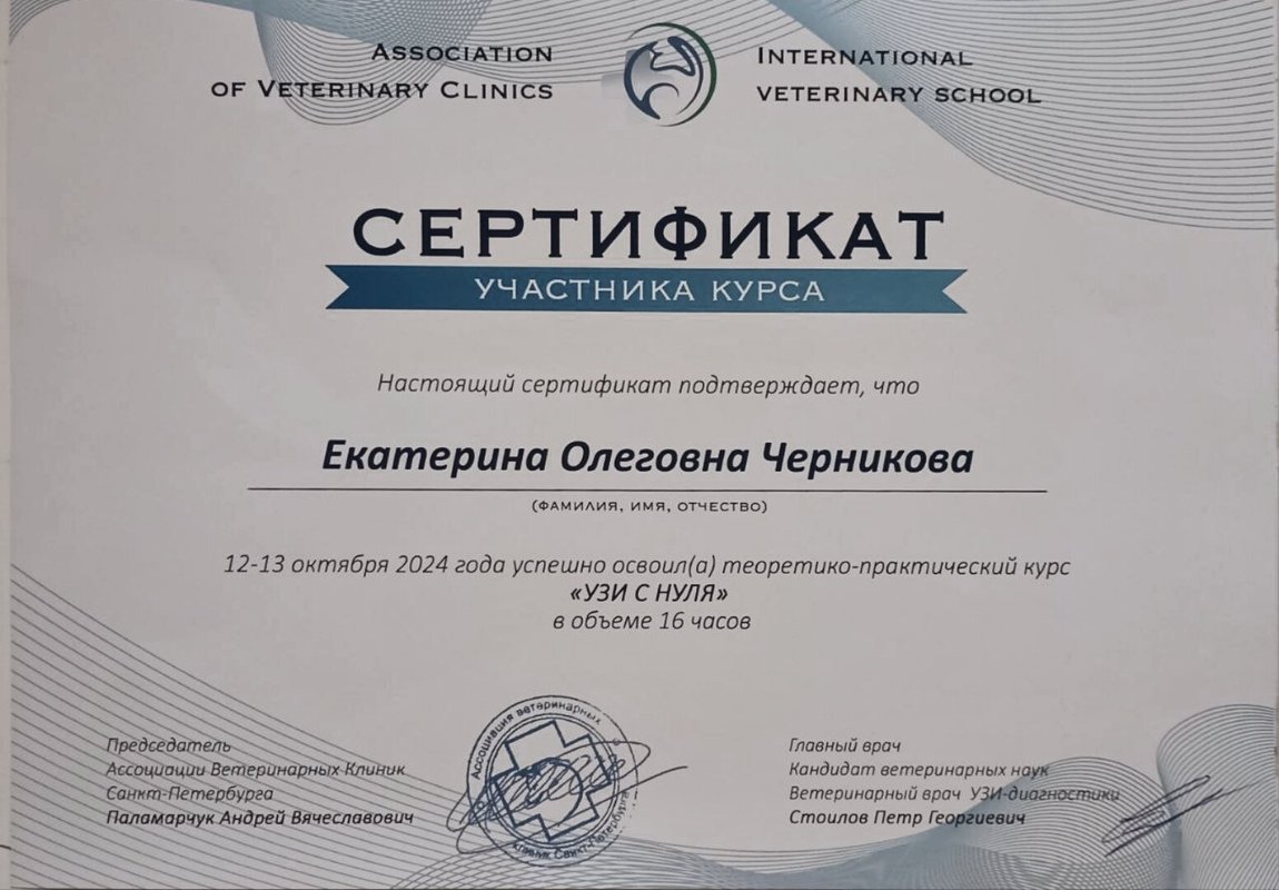 Документ или сертификат