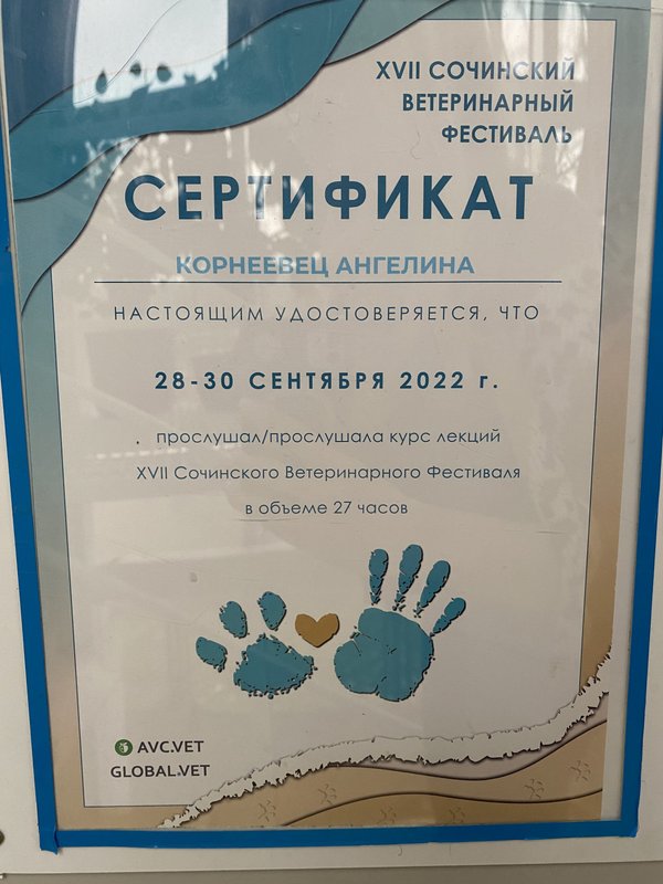 Документ или сертификат