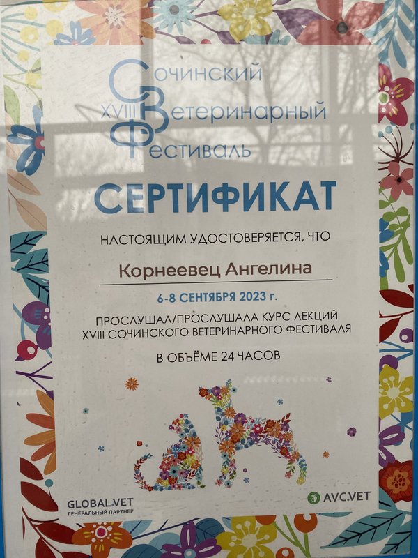 Документ или сертификат