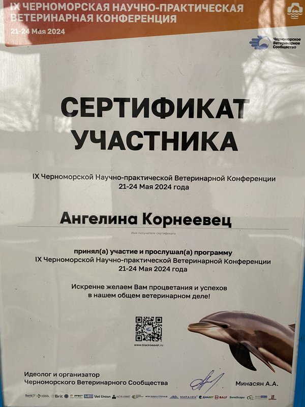 Документ или сертификат