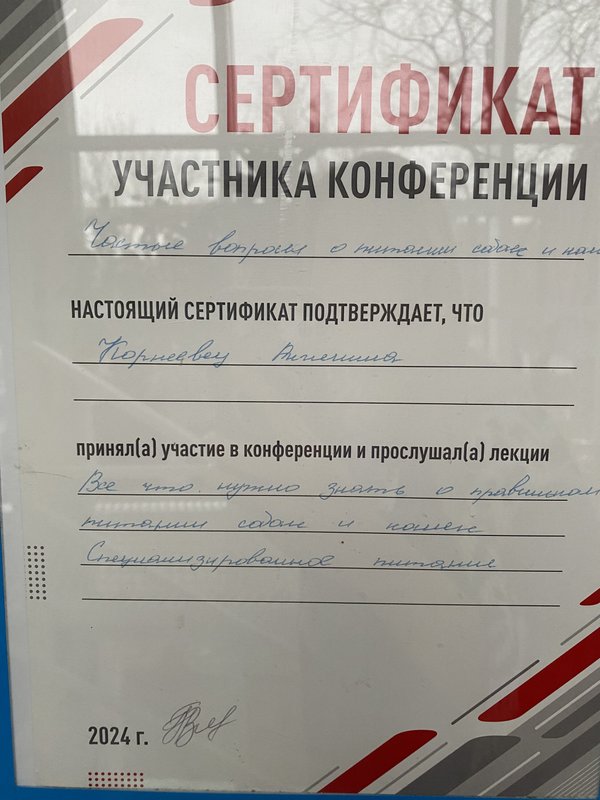 Документ или сертификат