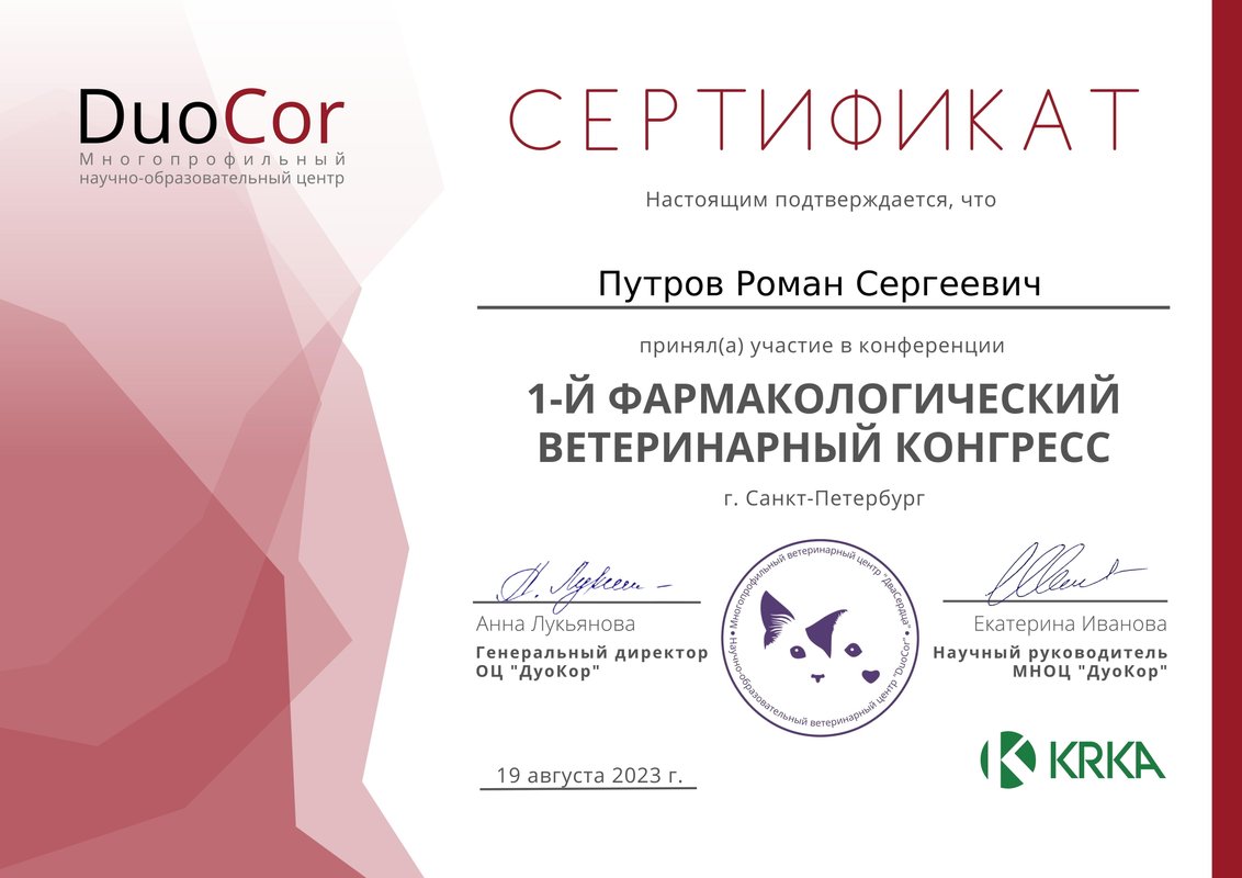 Документ или сертификат