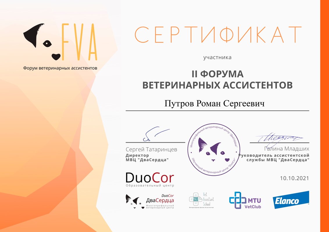Документ или сертификат