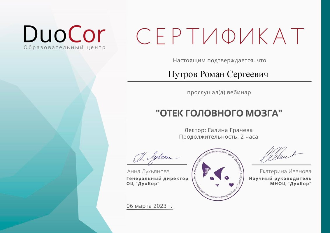 Документ или сертификат