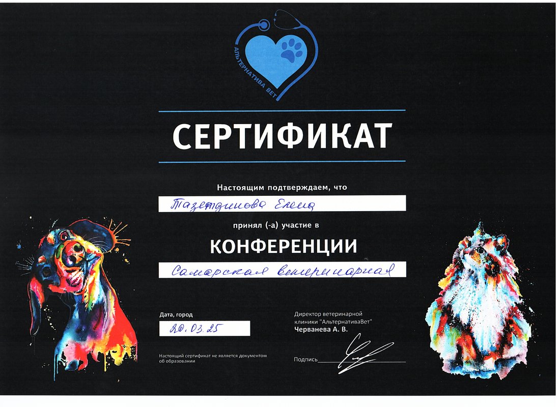 Документ или сертификат