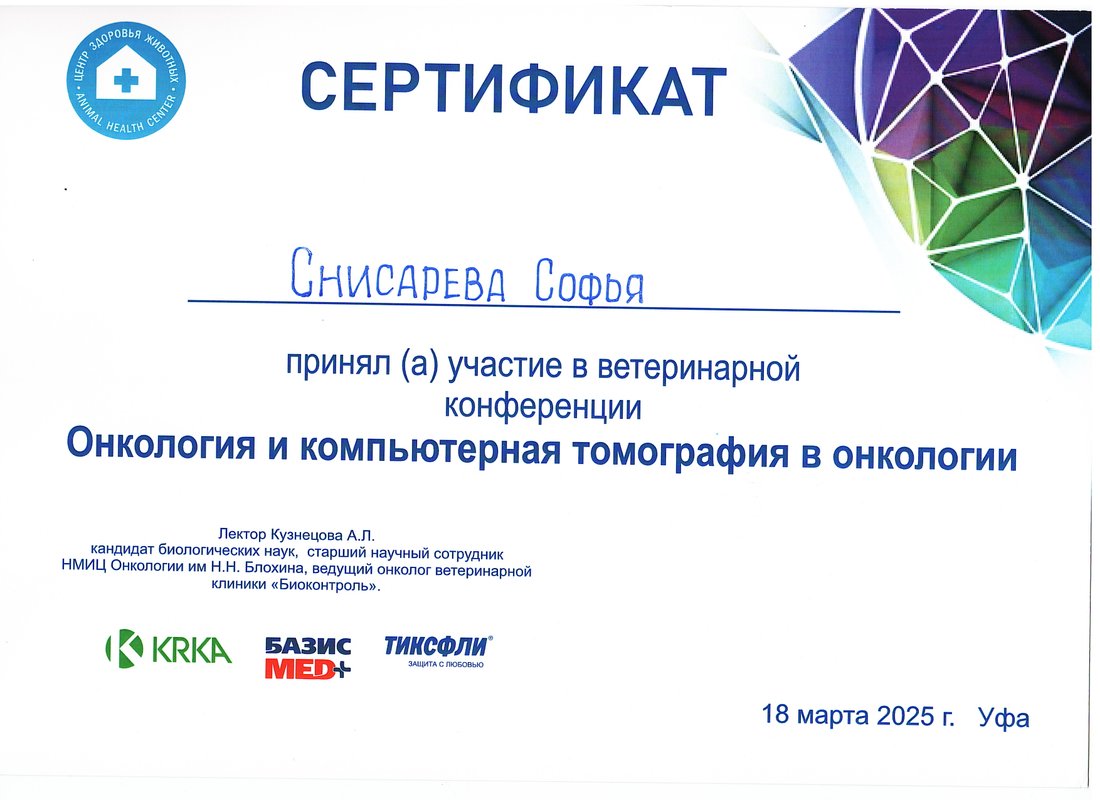 Документ или сертификат