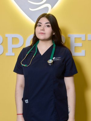 Фото врача Казымова Алина Андреевна