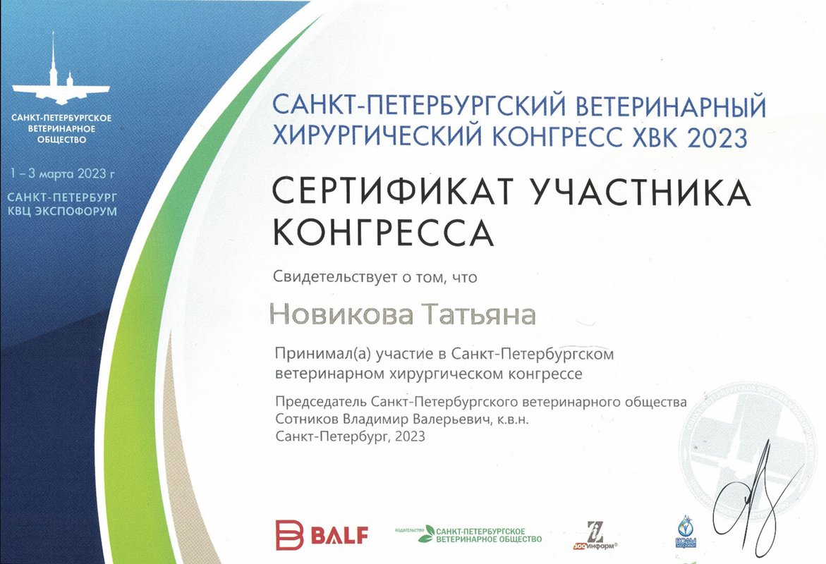 Документ или сертификат