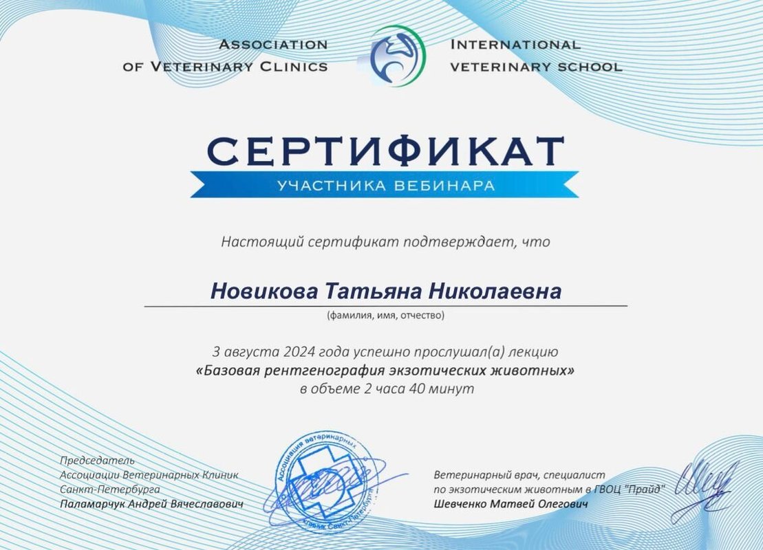 Документ или сертификат