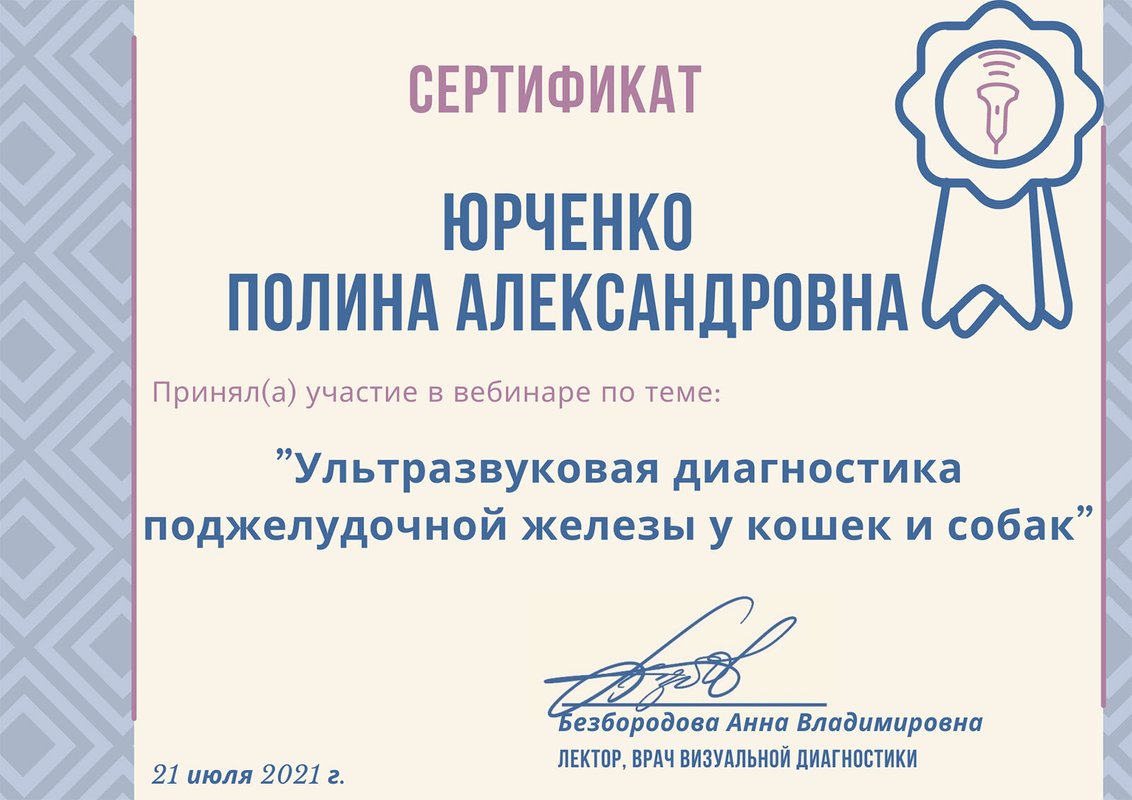 Документ или сертификат