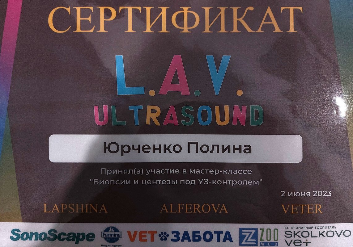 Документ или сертификат