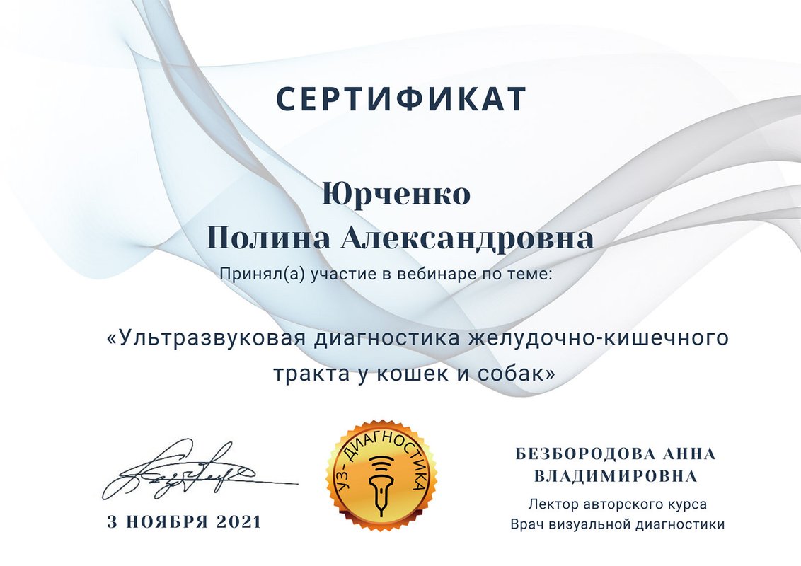 Документ или сертификат