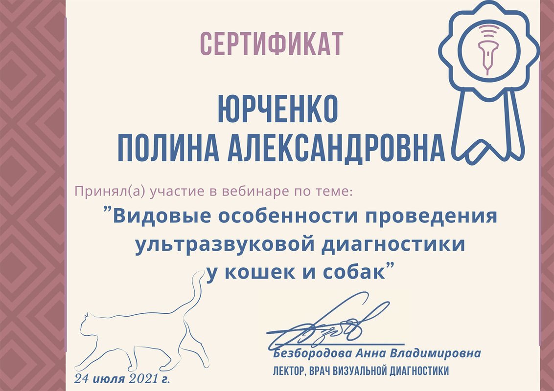 Документ или сертификат