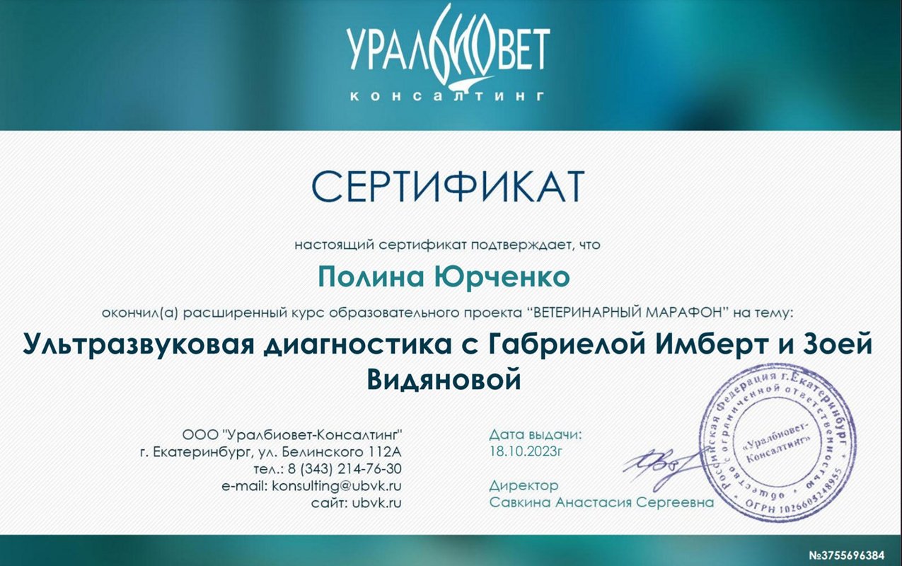 Документ или сертификат
