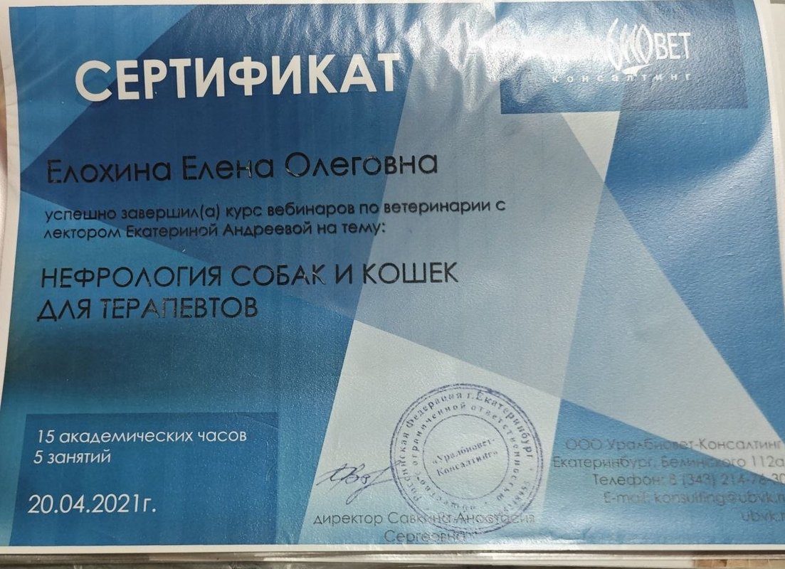 Документ или сертификат
