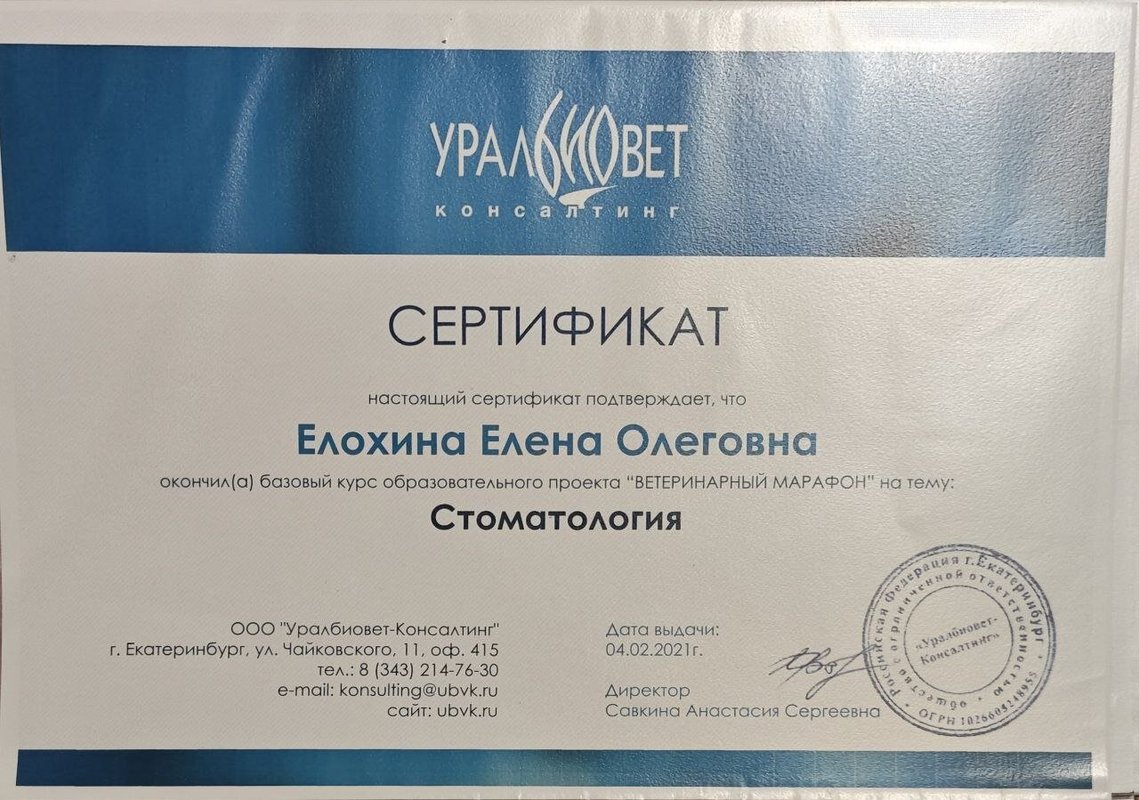 Документ или сертификат