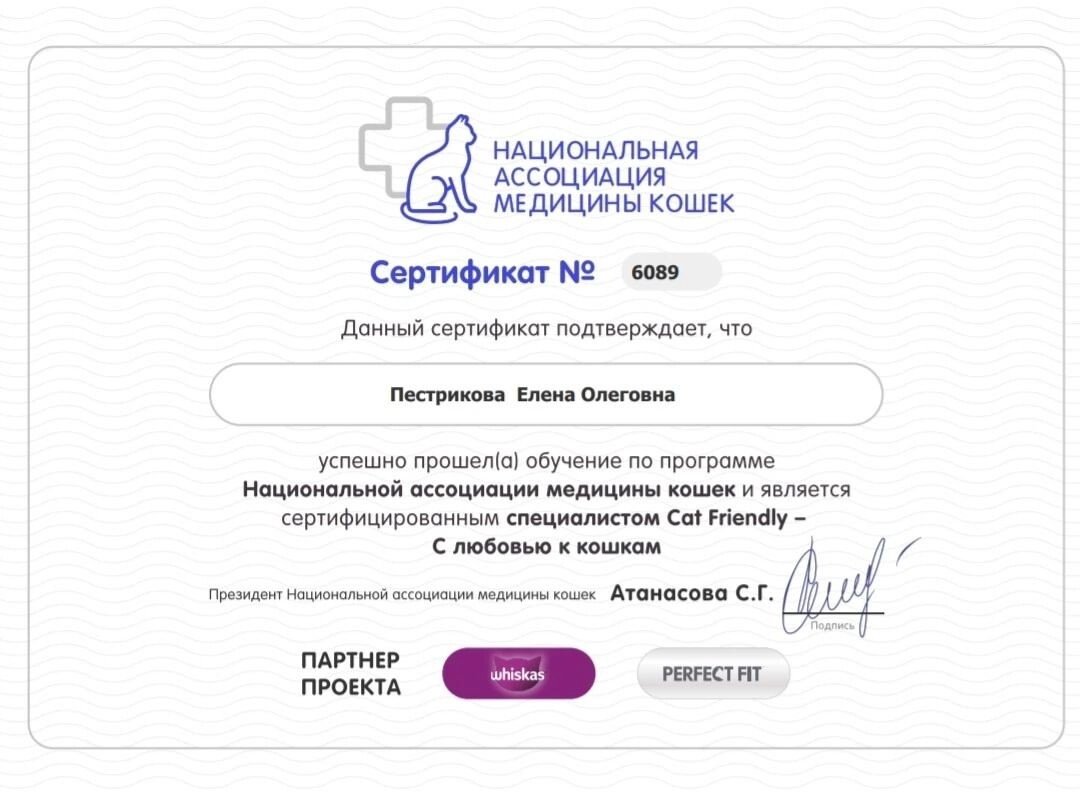 Документ или сертификат