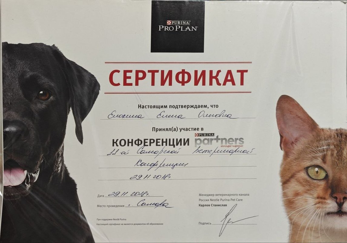 Документ или сертификат