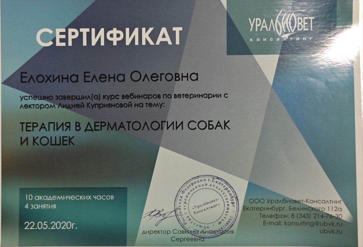 Документ или сертификат