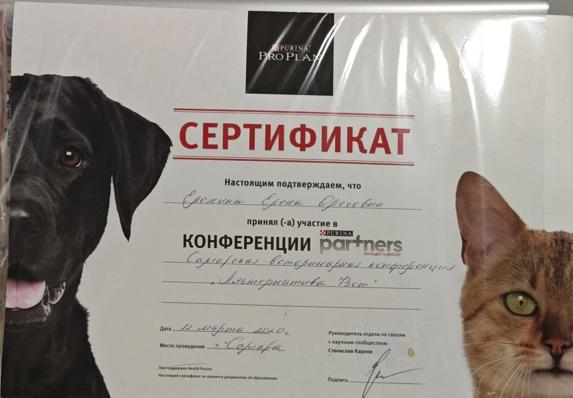 Документ или сертификат