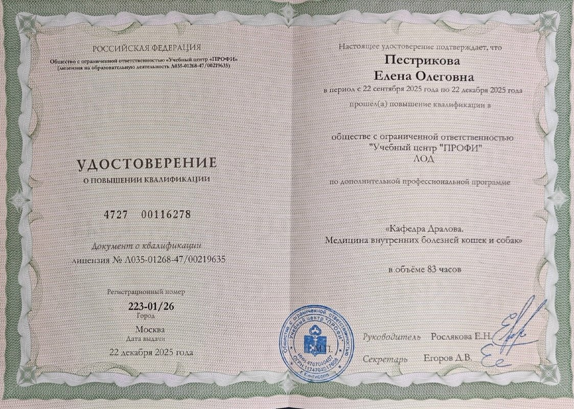 Документ или сертификат
