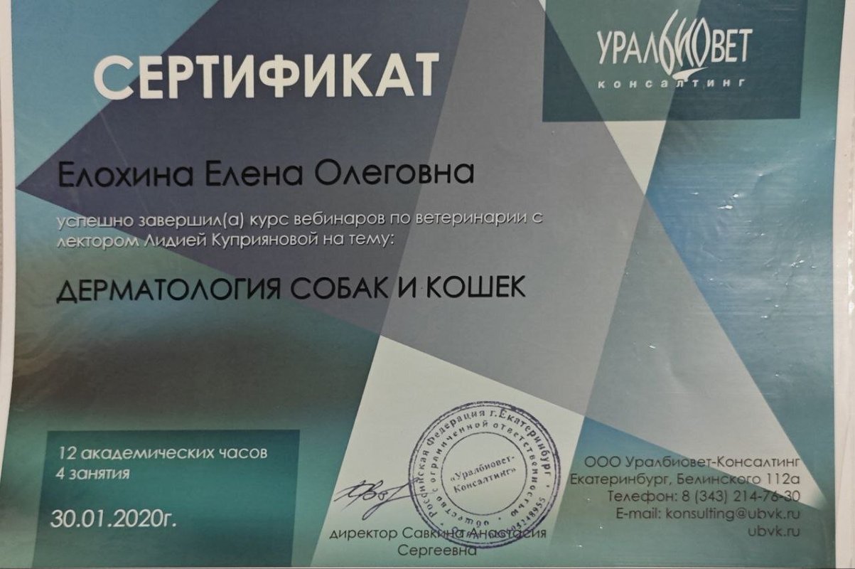 Документ или сертификат