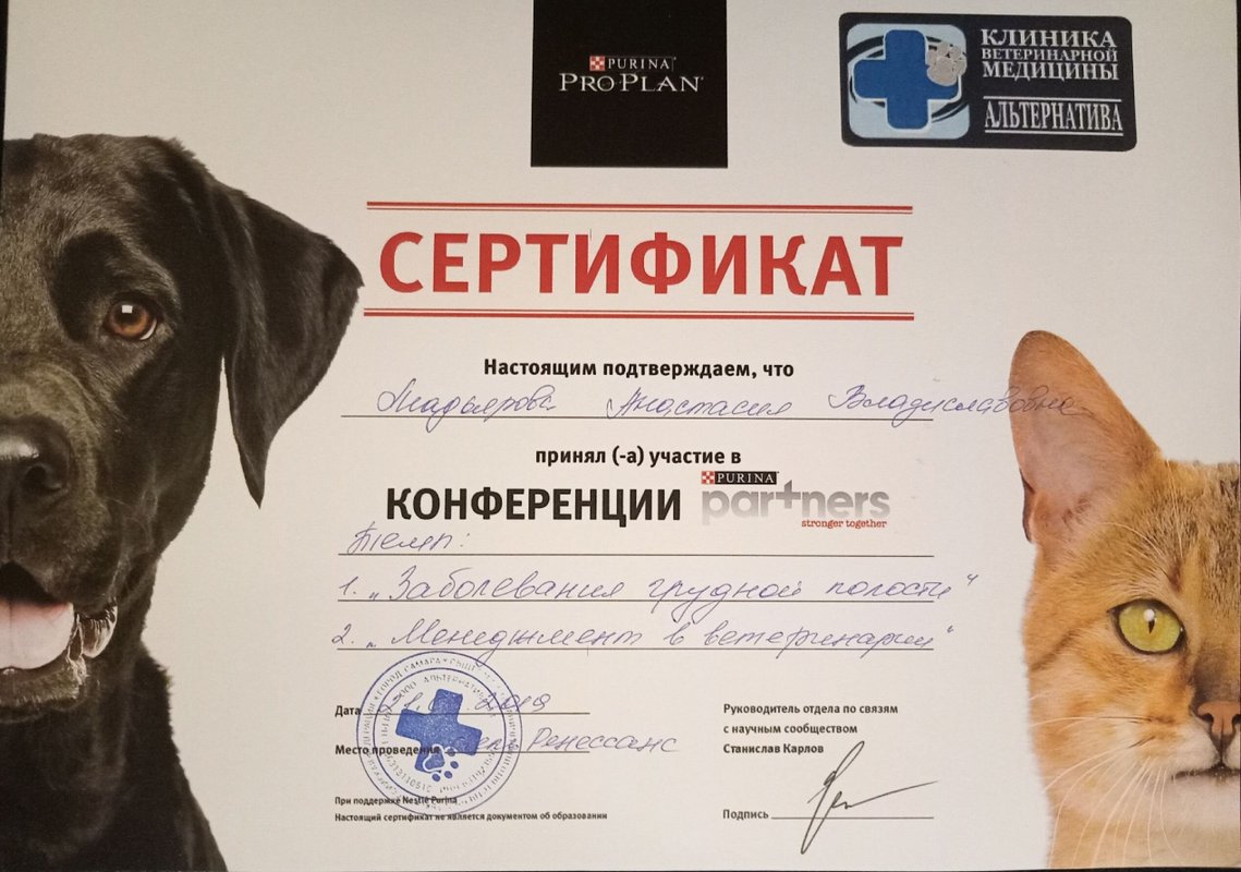 Документ или сертификат