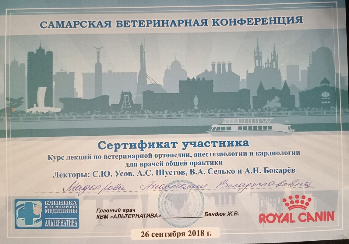 Документ или сертификат