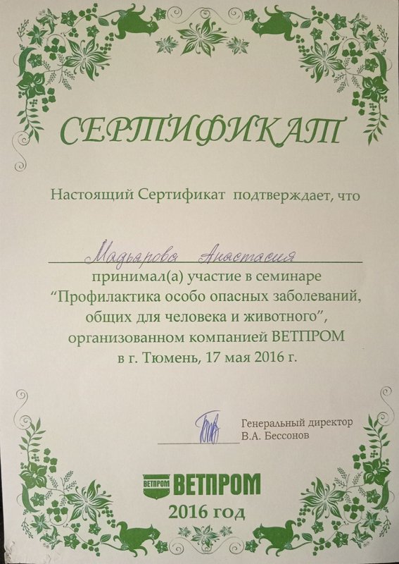 Документ или сертификат