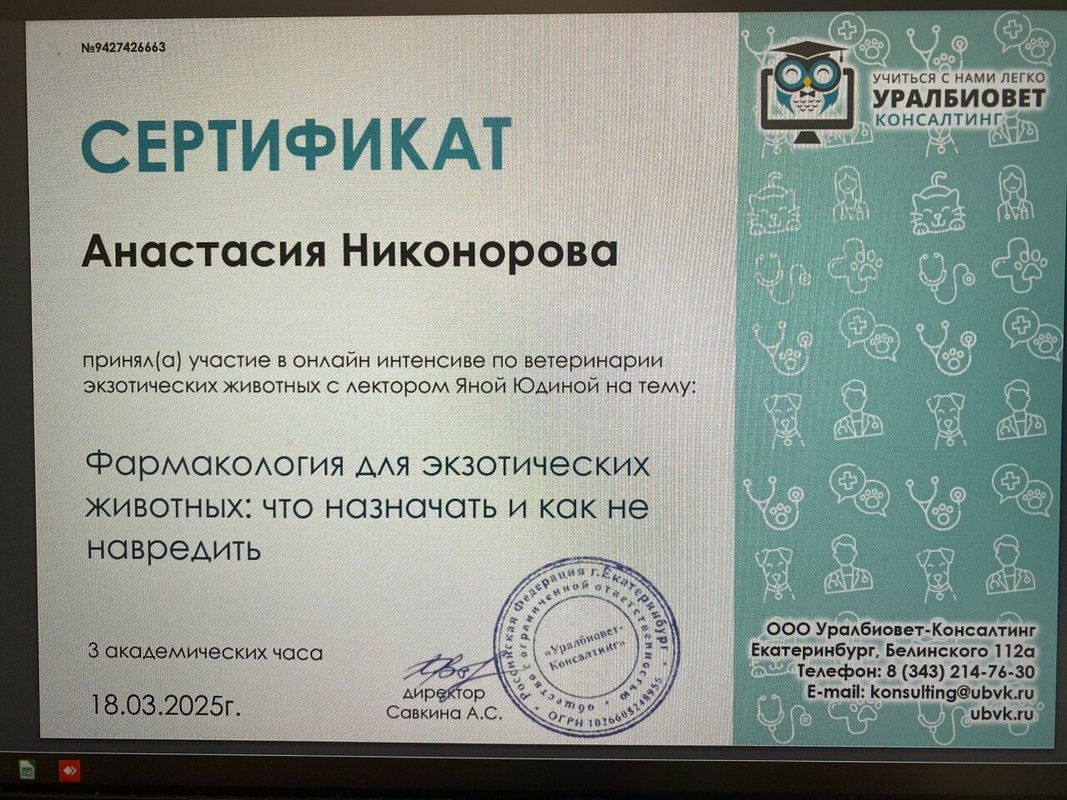 Документ или сертификат