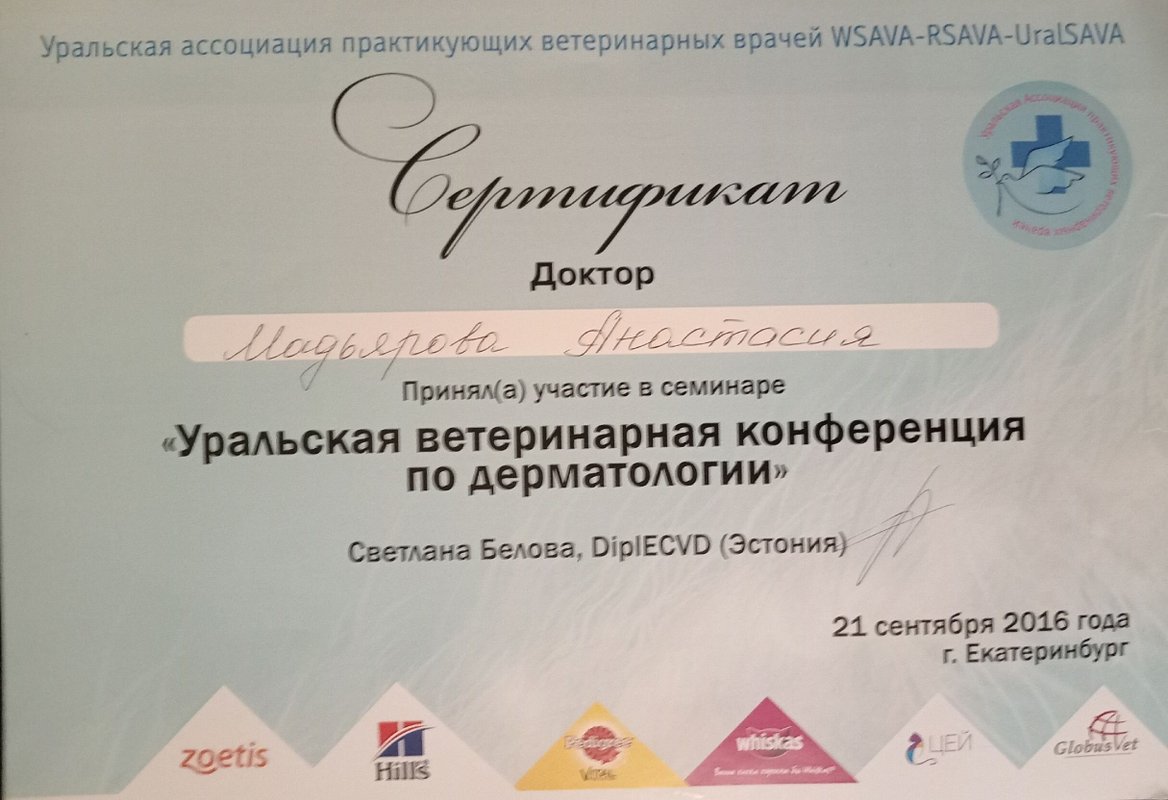 Документ или сертификат