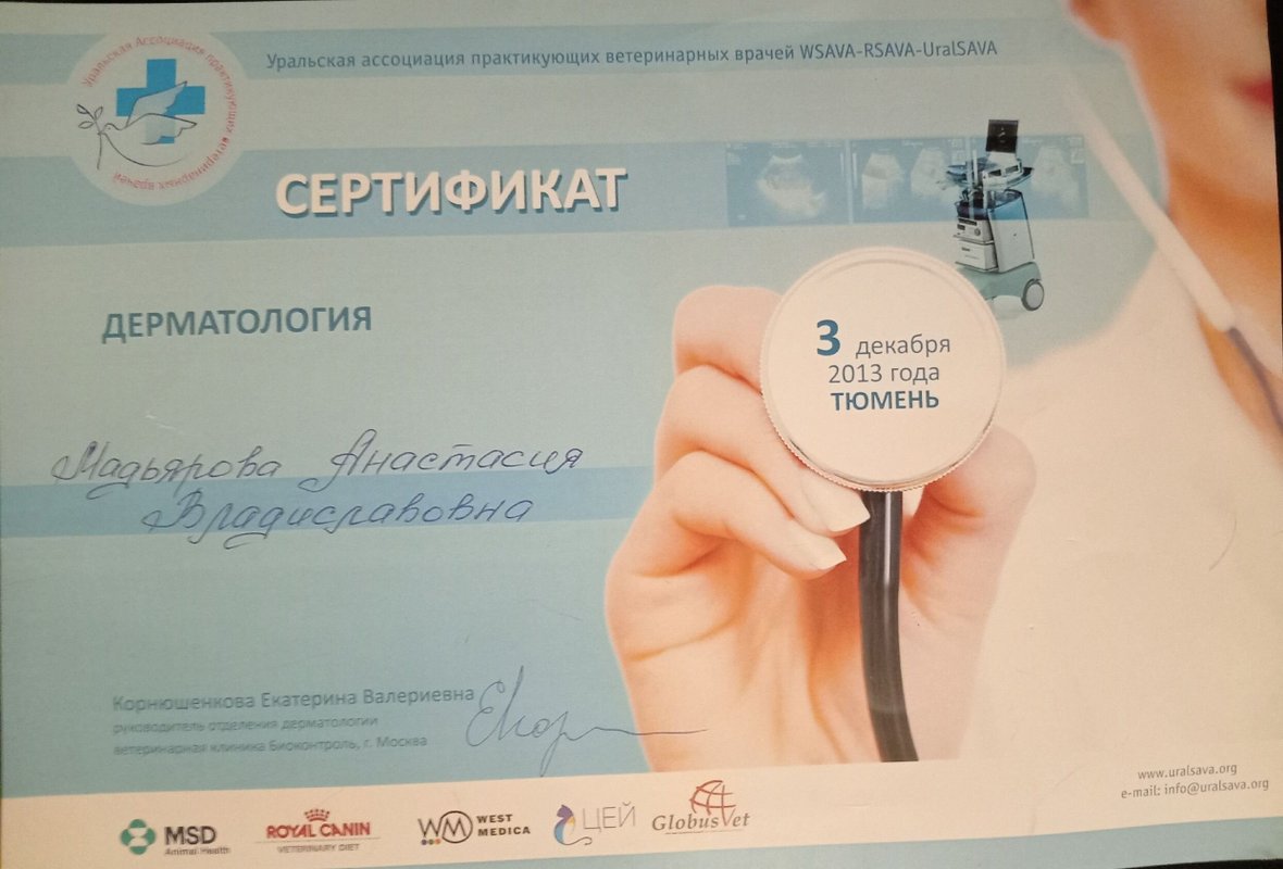 Документ или сертификат