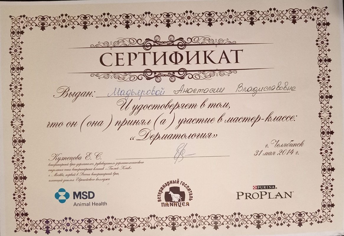 Документ или сертификат