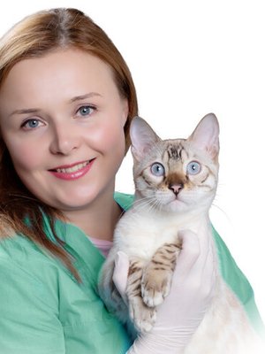 Фото врача Кошутина Анна Анатольевна