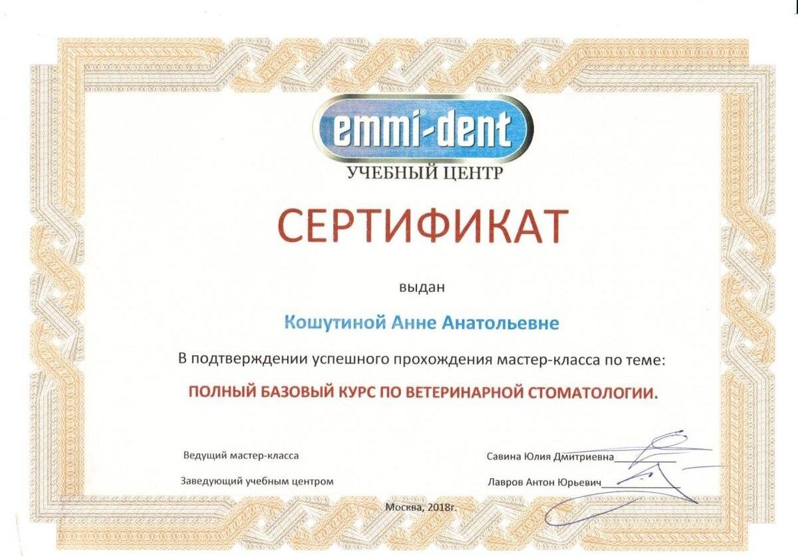 Документ или сертификат