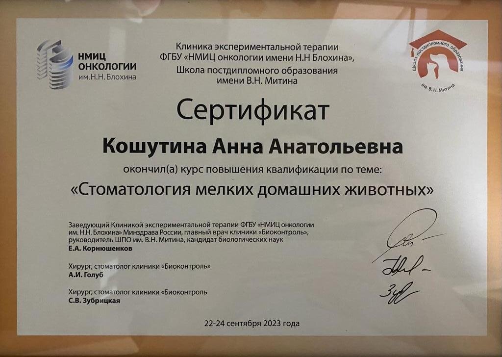 Документ или сертификат