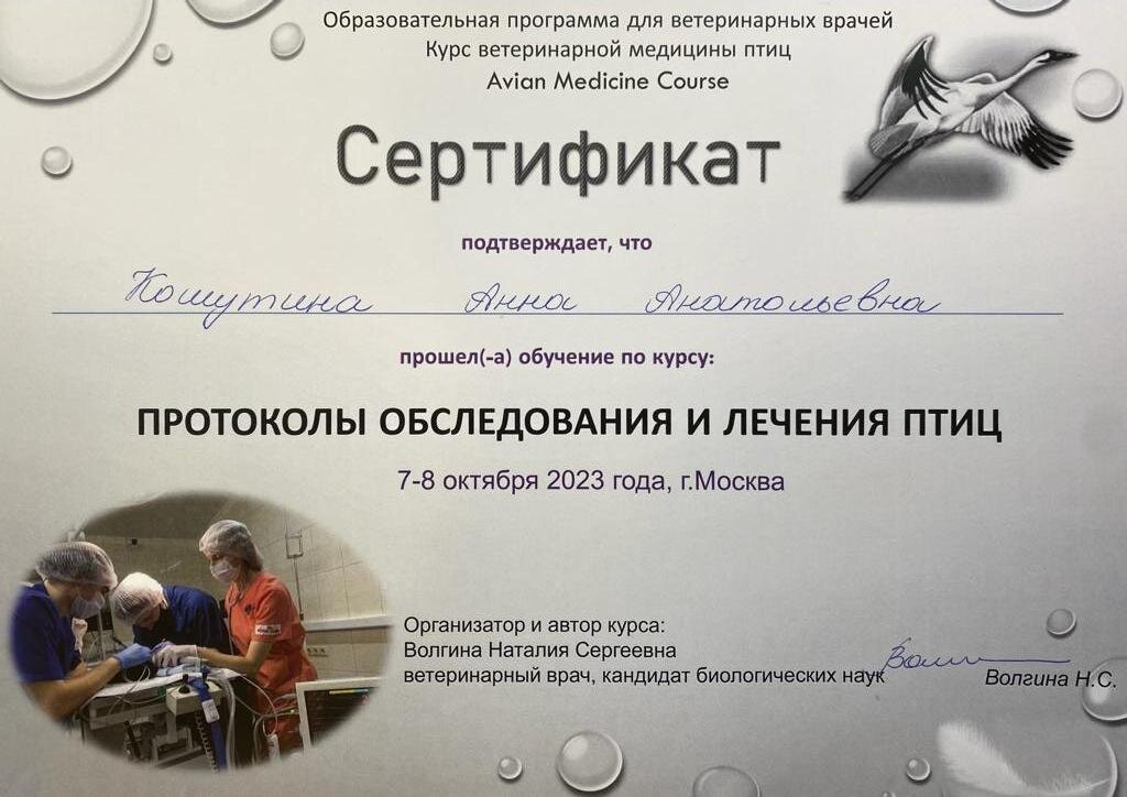 Документ или сертификат