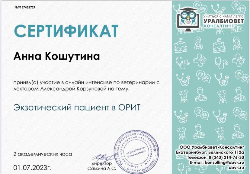 Документ или сертификат