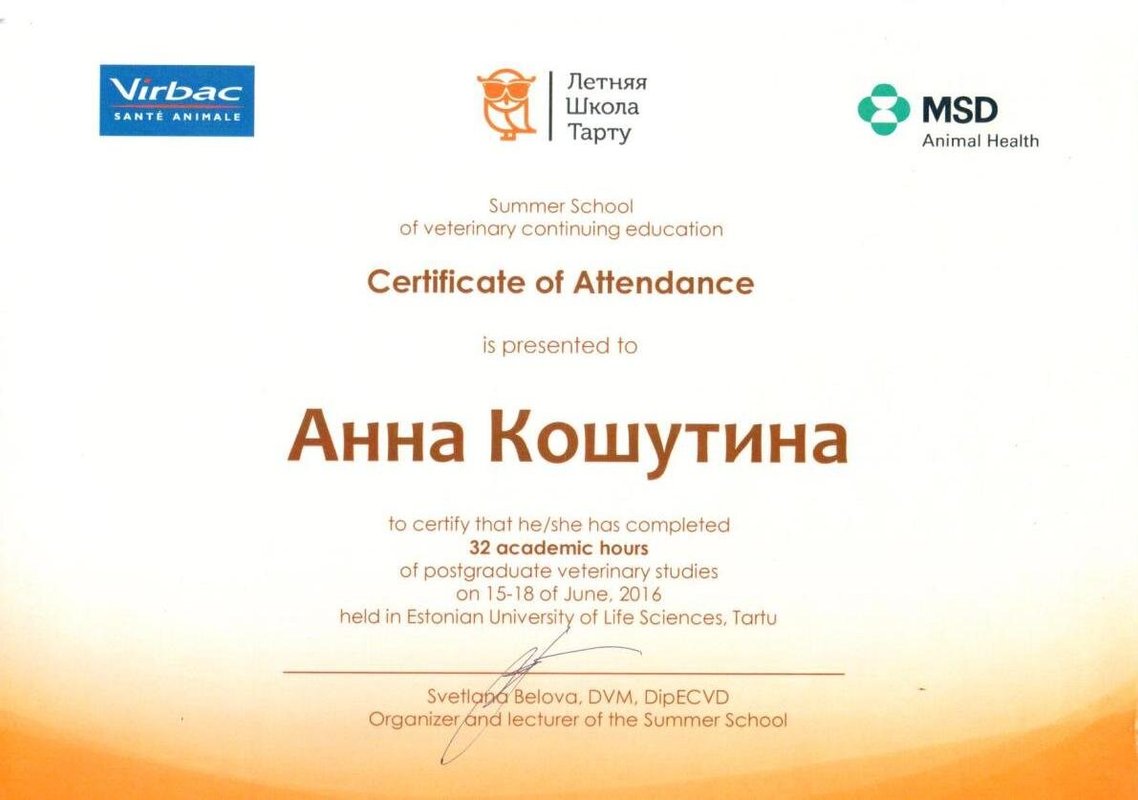 Документ или сертификат