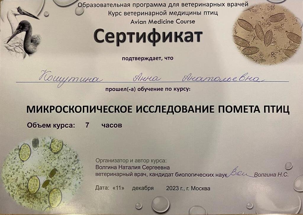 Документ или сертификат