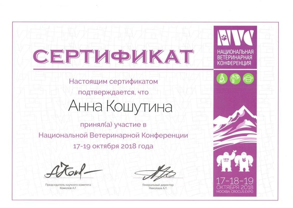 Документ или сертификат