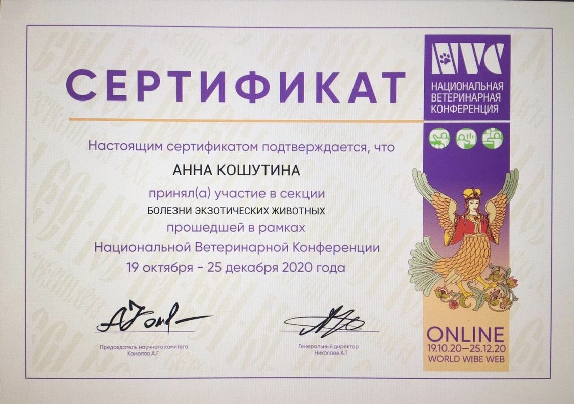 Документ или сертификат
