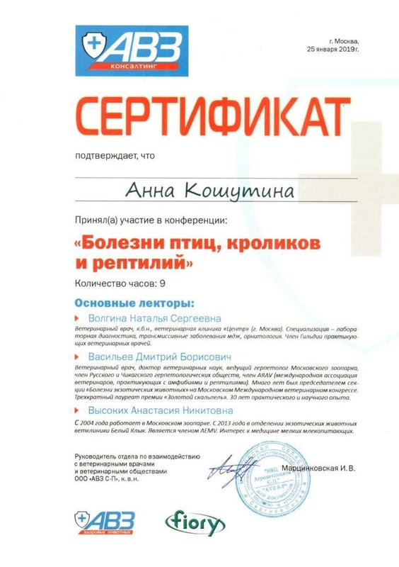 Документ или сертификат