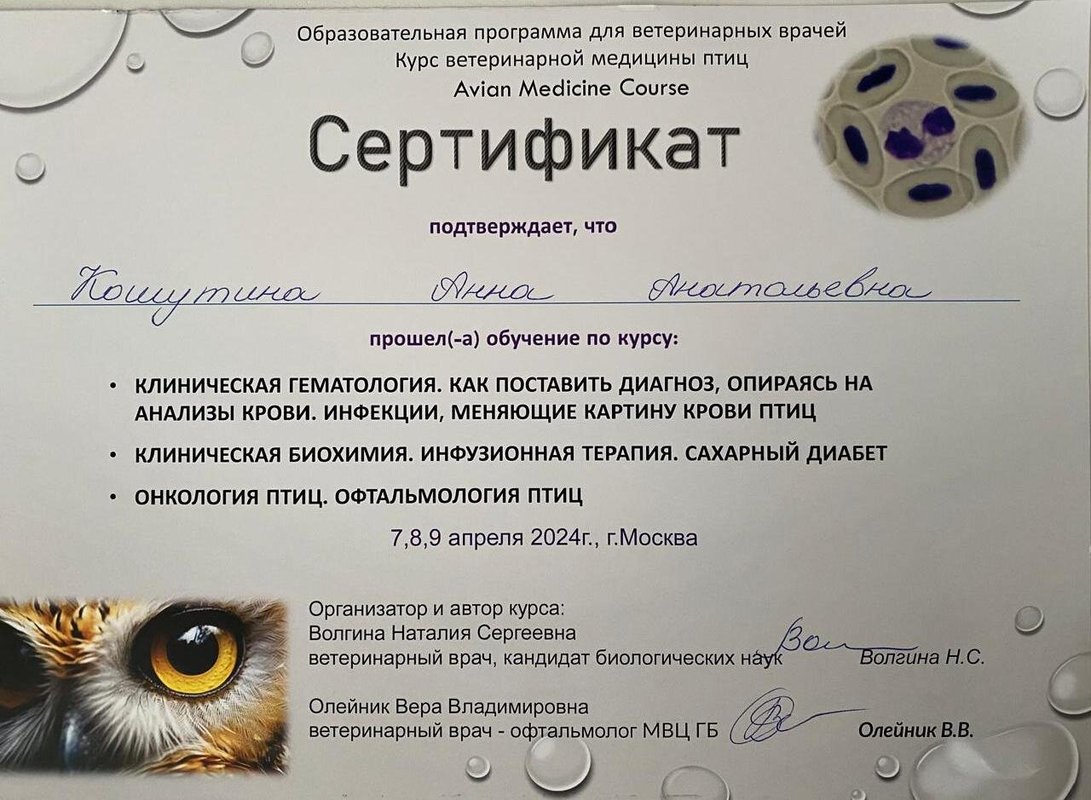 Документ или сертификат