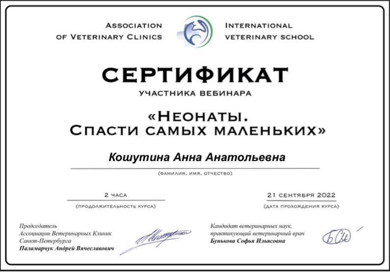 Документ или сертификат