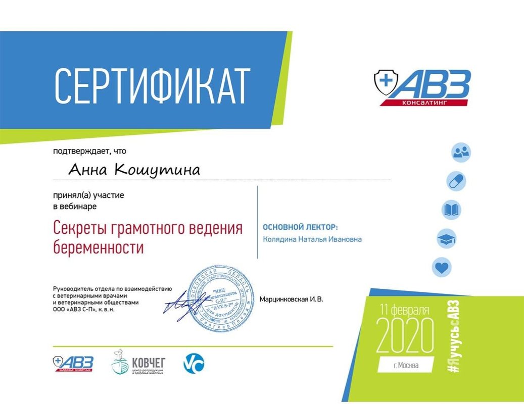 Документ или сертификат