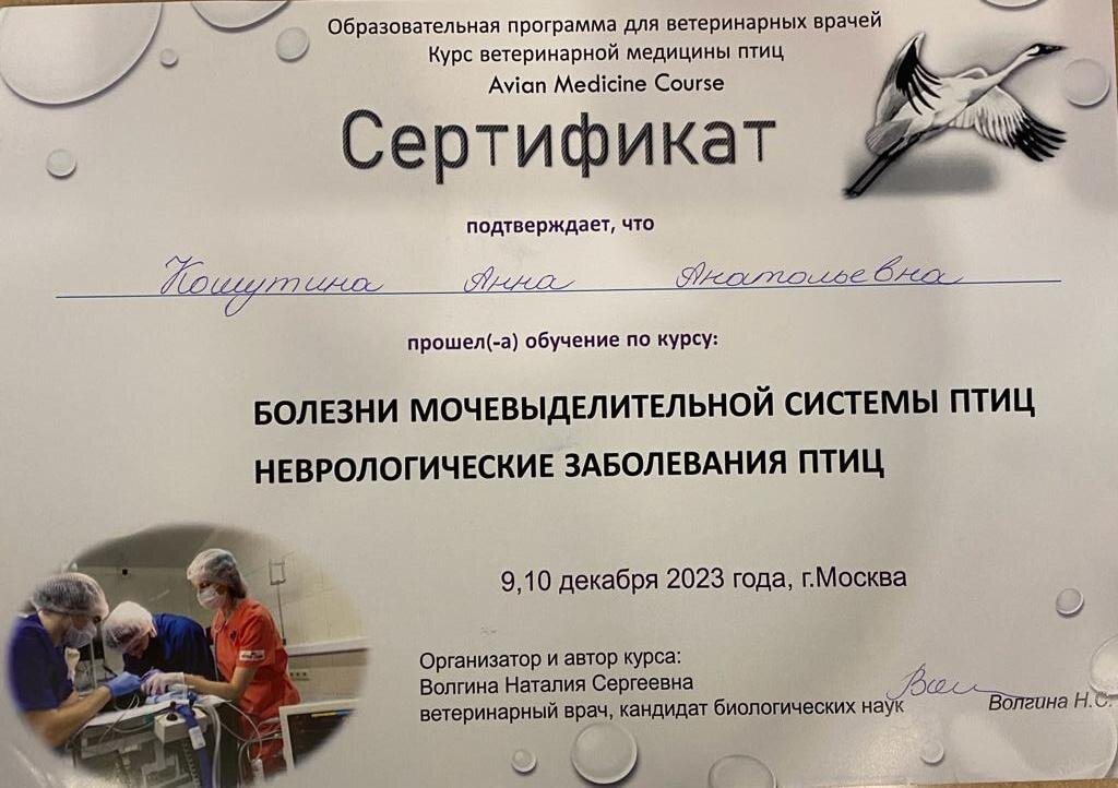 Документ или сертификат