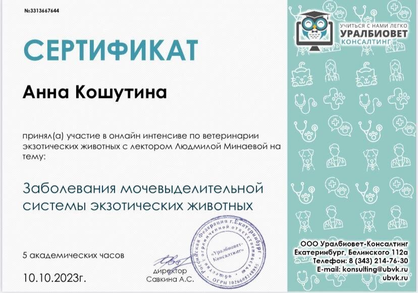 Документ или сертификат