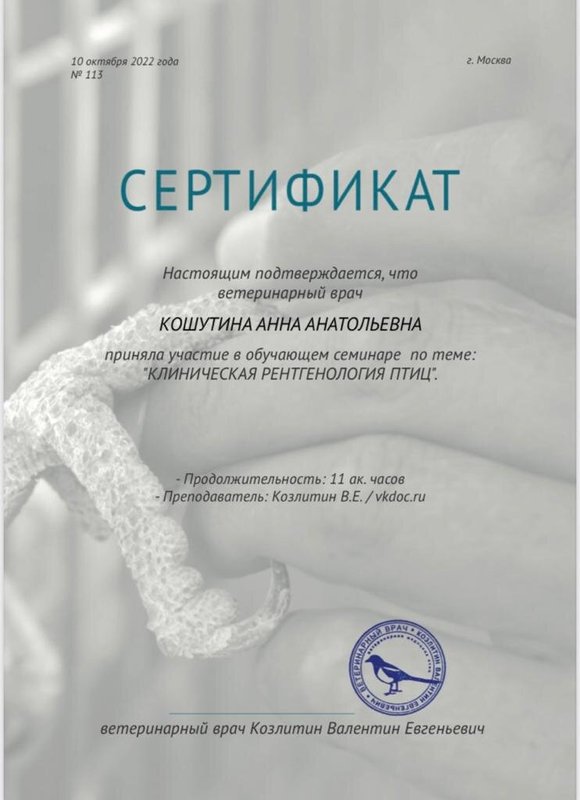 Документ или сертификат
