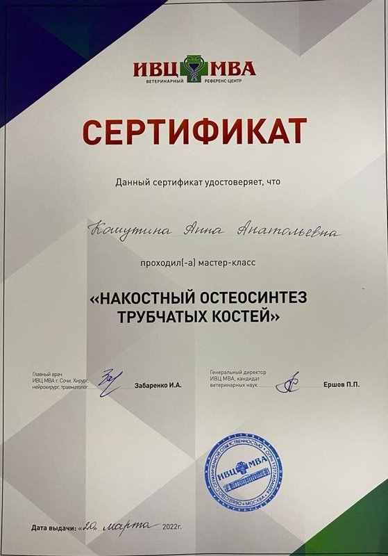 Документ или сертификат